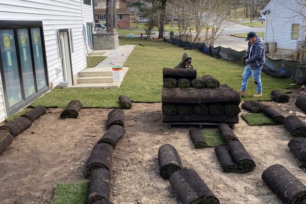 Lawn Preparation