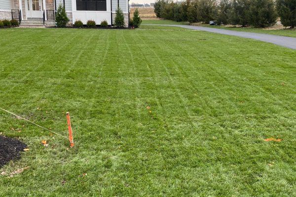 Mowing, Mulch & Top Soil