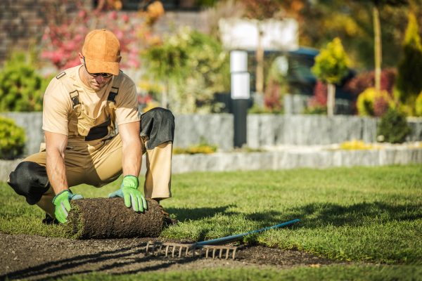 A gardener installs fresh sod in a lush backyard. He kneels on the grass, working diligently on a bright sunny afternoon, enhancing the home's landscape.
